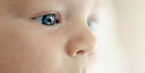 Венера Митрофанова