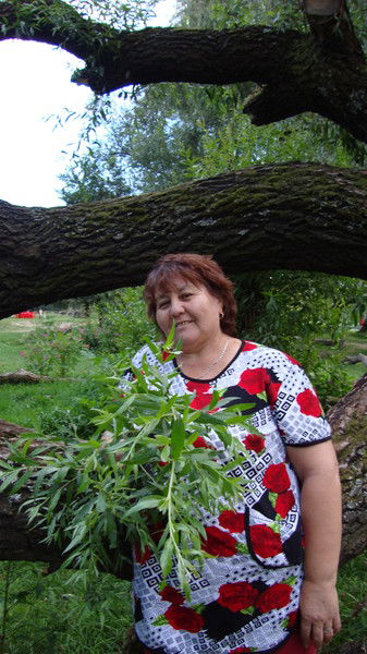 Вера Сибулатова