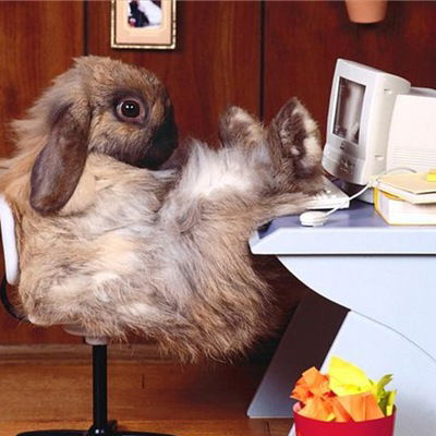 Эрдэм Будаев