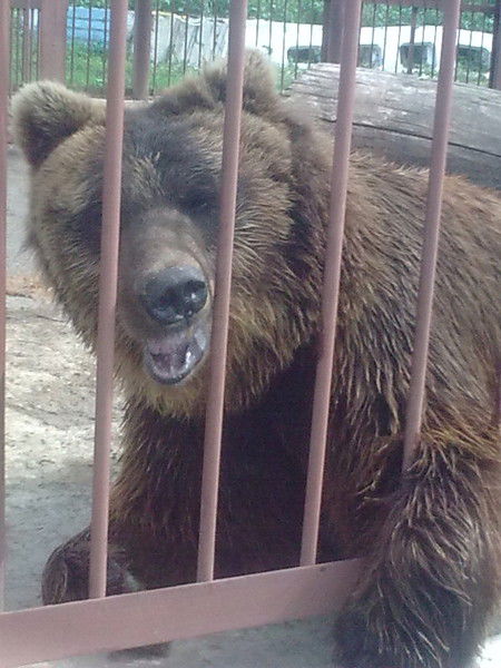 Василий Скатов