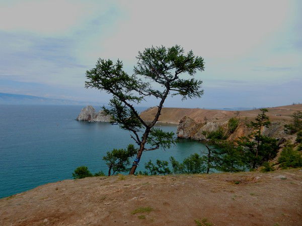 Ольга Доронина