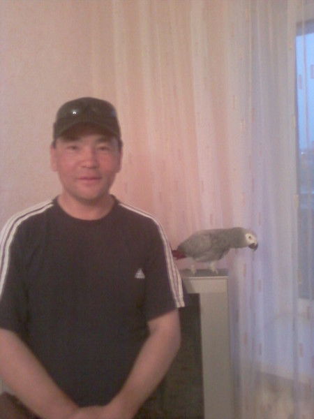 Марат Бисенкулов