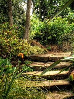 Анастасия Абрамова