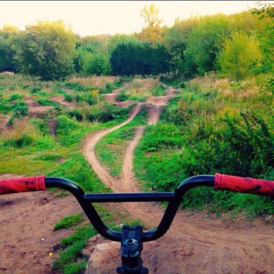 Полина Малинина