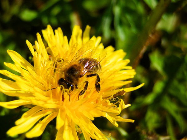 Гузал Зуфарова