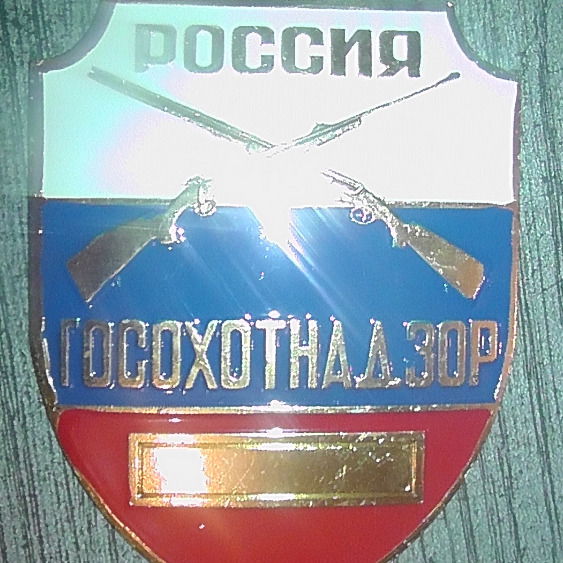 Владимир Белинский