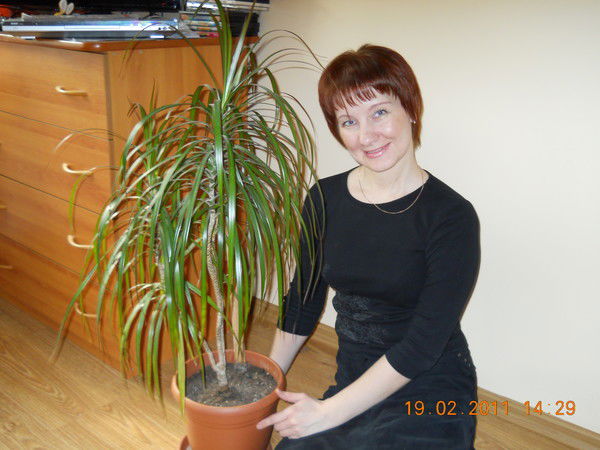 Наталья Бровкина