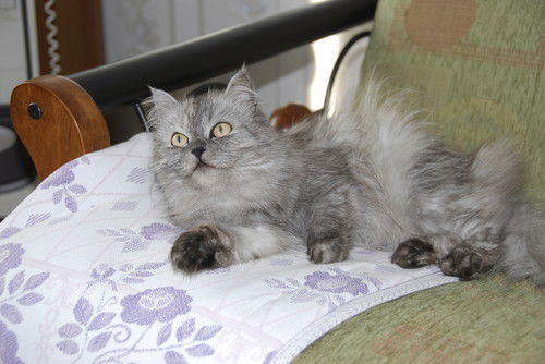 Людмила Телятникова