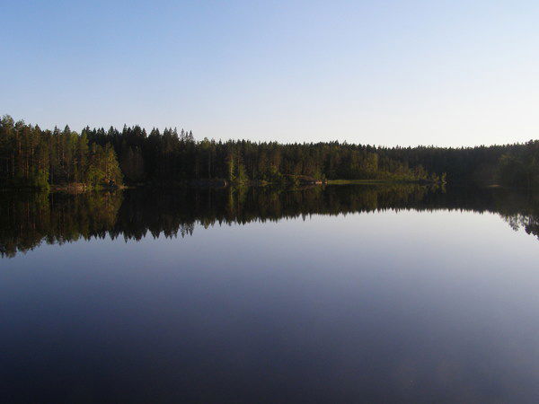 Светлана Комарова