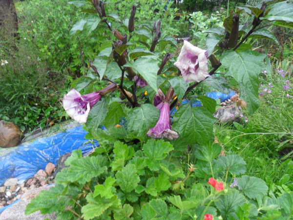 Татьяна Андреева