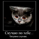 Саня Савельев
