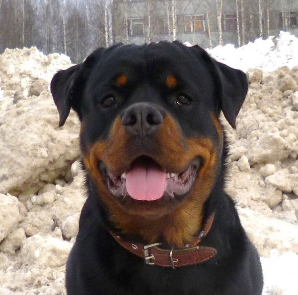 Тамара Маслова