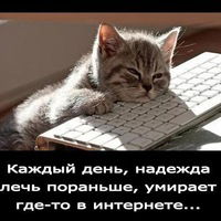 Александр Пшеченко