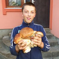 Святослав Ковалик