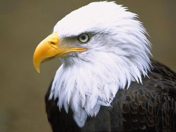 Артур Малики