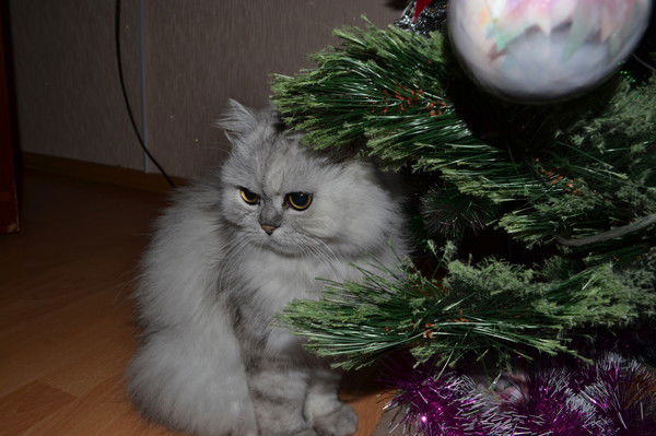 Оксана Подорога