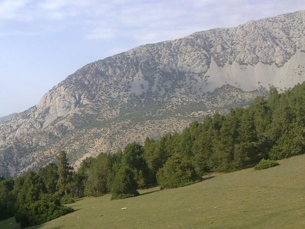 Каюмов Бахтиер