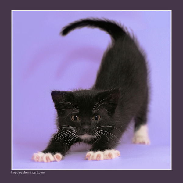 Настя Зарубина