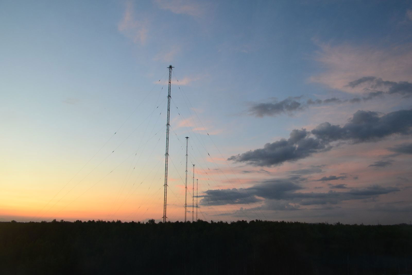 София Диянич