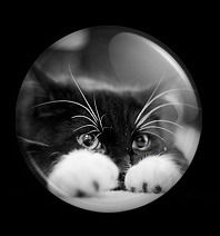 Катя Гинтнер