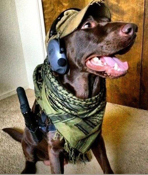 Эдуард Савицкий