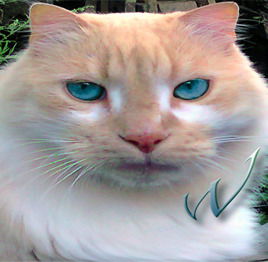 Владимир Колесников