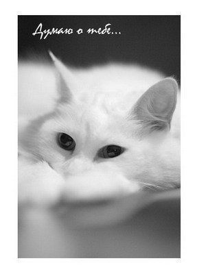 Анна Насырова