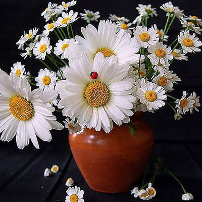 Павел Скорпион