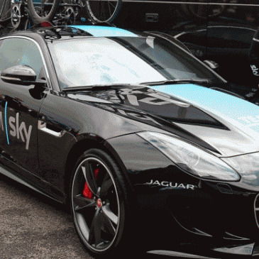 Михаил Сергеев