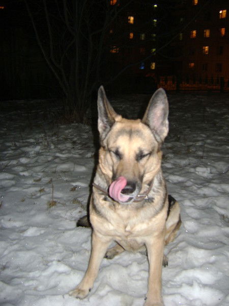 Анжелика Борякина