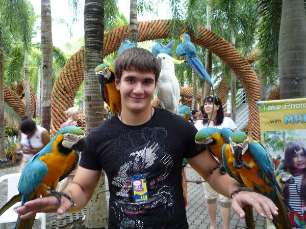 Дмитрий Попов