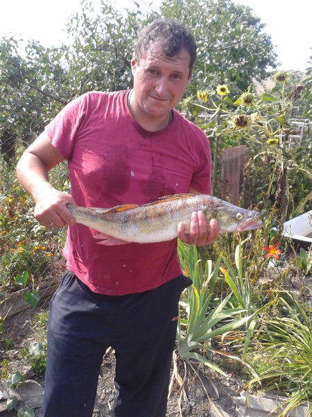 Виктор Шенькарук