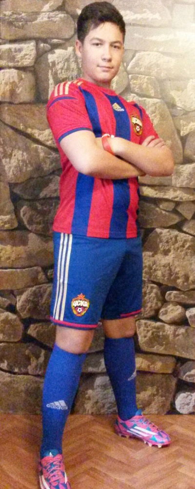 Владимир Плеснёв