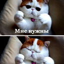 Лилия Ж-К