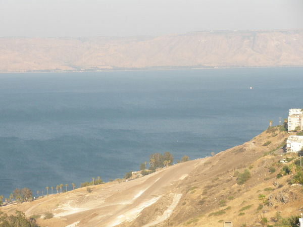 Ирина Цициашвили