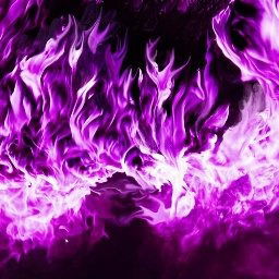 Илья Шинкарёв