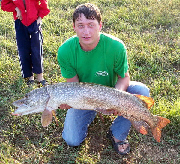 Анатолий Никифоров