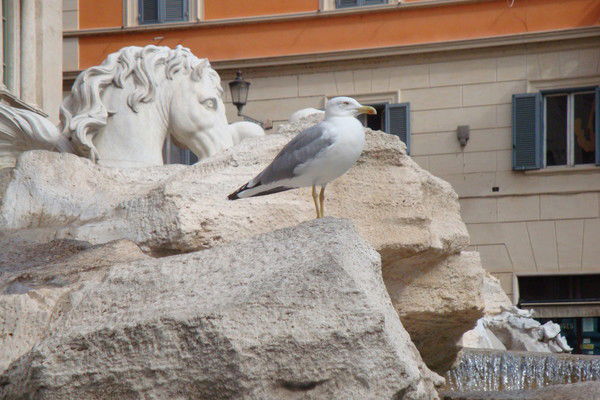 Бояринова Елена