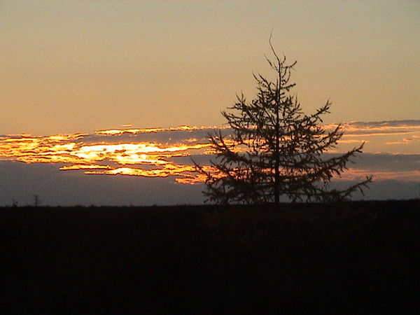 Ольга Муравская