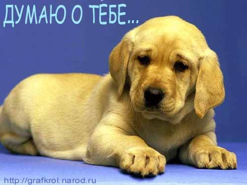 Татьяна Аникина