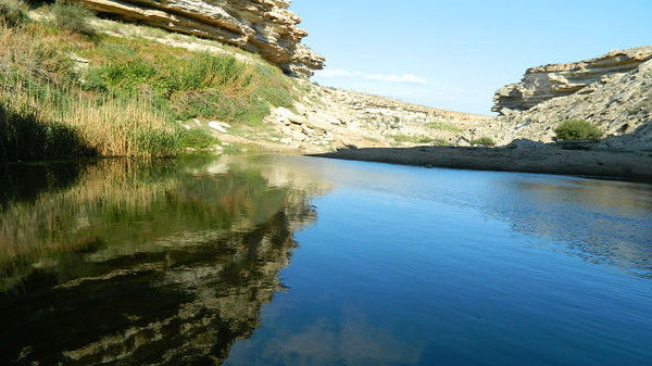 Айгюль Кебисова