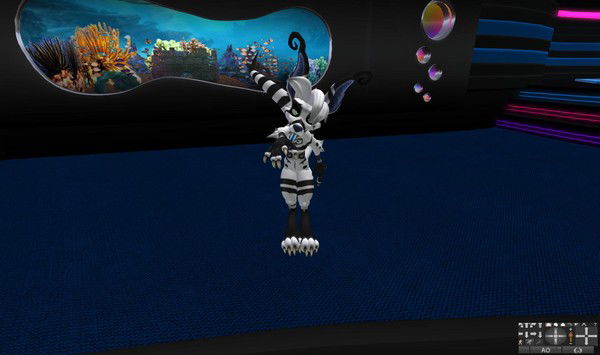 Котовася Неaдыкват