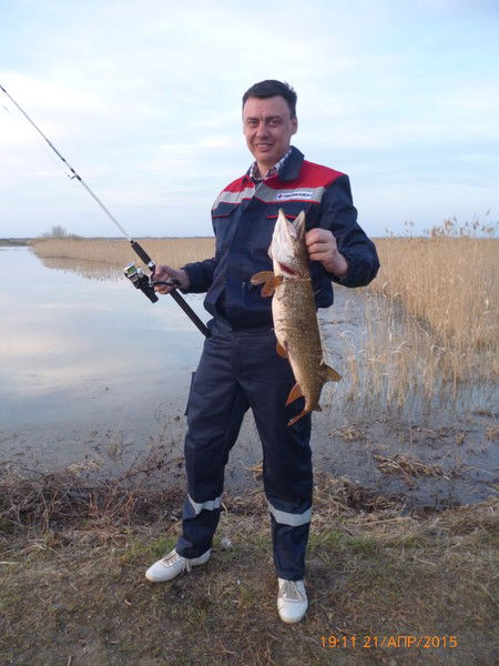 Олег Шалеев