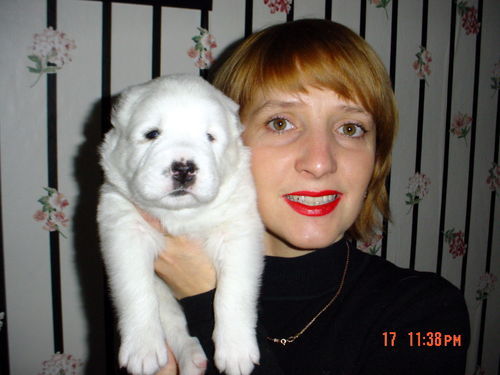 Елена Сивкова