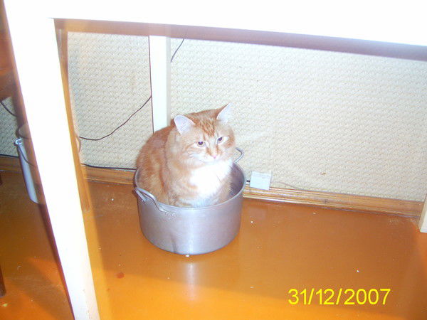 Надежда Бубнова