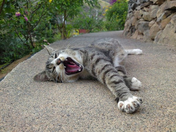 Наталья Сидорова