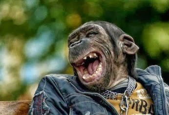 Владимир Гапеев