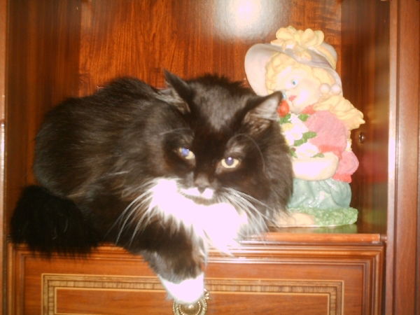 Василий Землянский