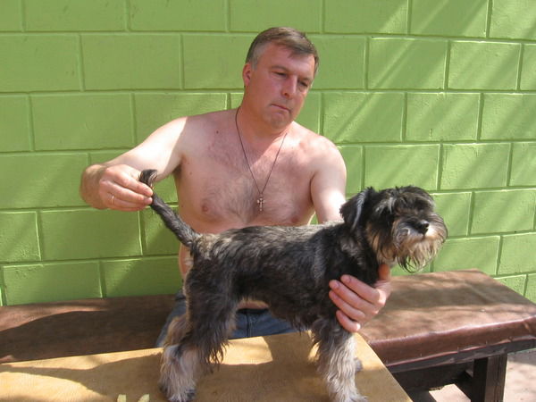 Аркадий Астафьев