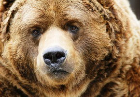 Сергей Мальцев